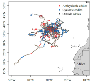 Figure 3: Locations of 28 tagged loggerhead turtles according to the type of eddy associated with each position: anticyclonic (in red), cyclonic (in blue) and outside eddy (in grey) (from Chambault et al. 2019).