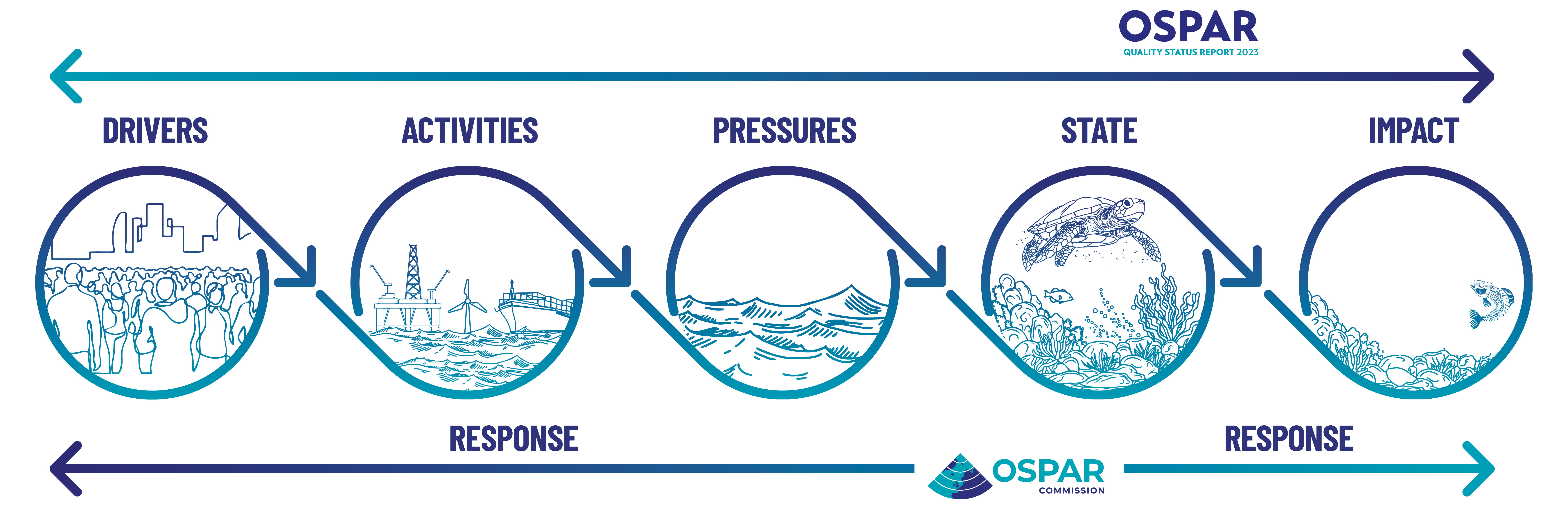Figure 4.1: The DAPSIR framework that underpins assessments conducted under the QSR 2023
