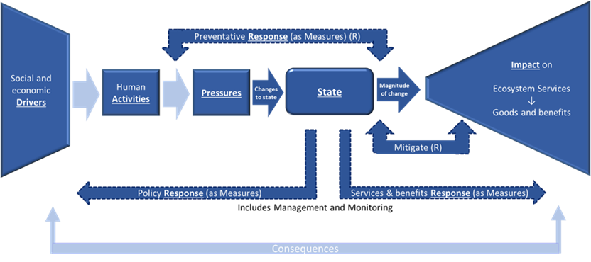 Figure CE.1: Framework to underpin thematic assessments. This schema is compatible with the European Commission Staff Working Document DAPSES-MMM framework