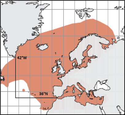 Figure 1: Porbeagle distribution in the North and Northeast Atlantic (Compagno 2001), showing relevant ICES latitudinal and longitudinal stock boundaries.