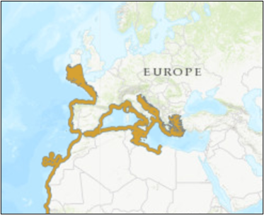 Figure 1: Geographic distribution of the white skate in the Northeast Atlantic and adjacent seas. Note: The distribution of white skate may also extend further north than indicated here and also through the English Channel. Source: IUCN https://www.iucnredlist.org/species/61408/12473706.