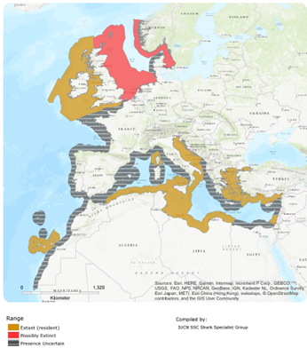 Figure 1. Distribution of angel shark showing areas where it is considered extant (a sighting since 1987), former range with no sightings (despite monitoring surveys) and areas of uncertain presence (Source: Morey et al. 2019).