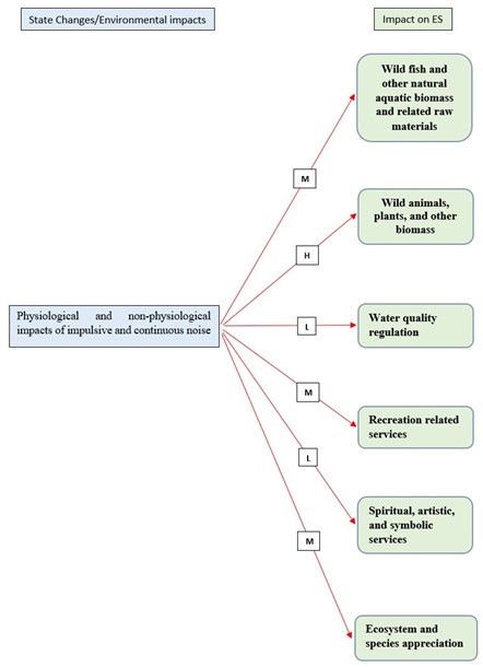 Figure I.1: Overview of the 'state changes/environmental impacts’ - ‘impacts on ES’ linkages for the Underwater Noise Thematic Assessment. The presented ecosystem services represent those considered most relevant in relation to the Underwater Noise thematic assessment. Each arrow is also associated with an expert-based estimate of the magnitude of the impact of environmental state change on a particular ecosystem service (H = high impact, M = medium impact, L = low impact, U = unknown impact).