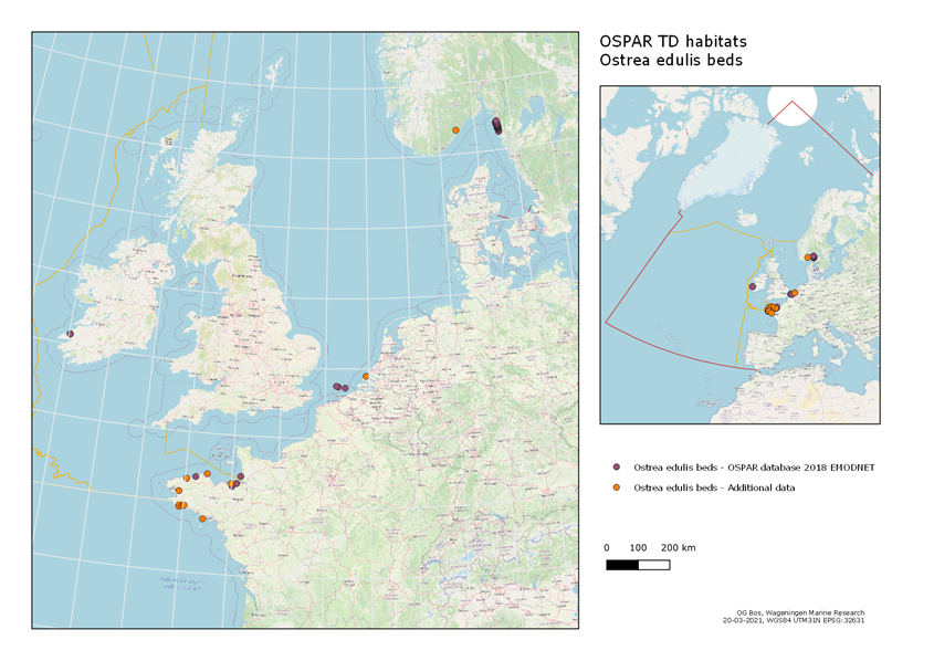 Figure 1: Known distribution of O. edulis beds. Data obtained from OSPAR database, with additional data provided by France and Norway (Please note that UK data points for this habitat are restricted).