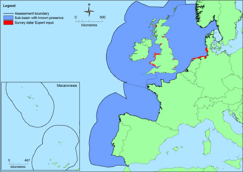 Figure 2: Distribution of Mytilus edulis beds, based on EMODnet and supplemented with expert opinion. The map was considered to contain insufficient data to be accurate (EU Red List report 2016: Gubbey and Dankers 2016)