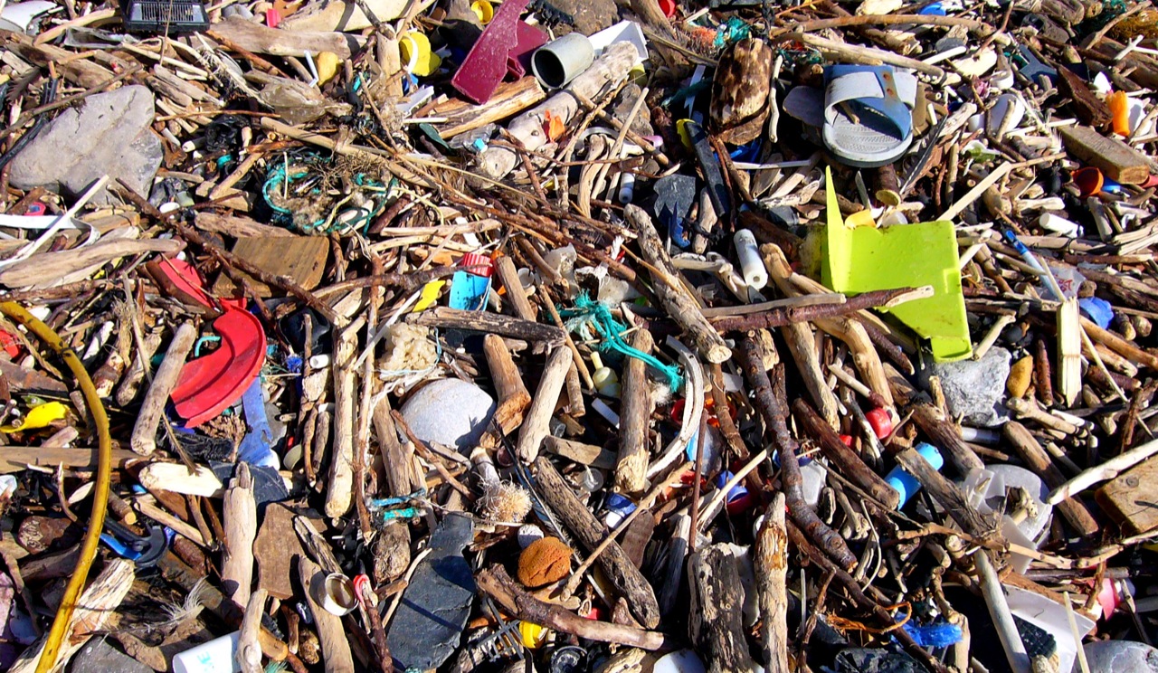 Photo: Beach litter in the UK (copyright, Clare Sambrook)