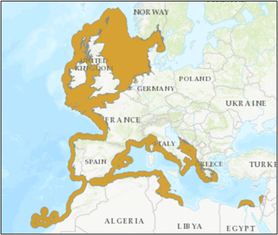 Figure 1: Geographic distribution of spotted ray Raja montagui. Source: https://www.iucnredlist.org/species/63146/12623141