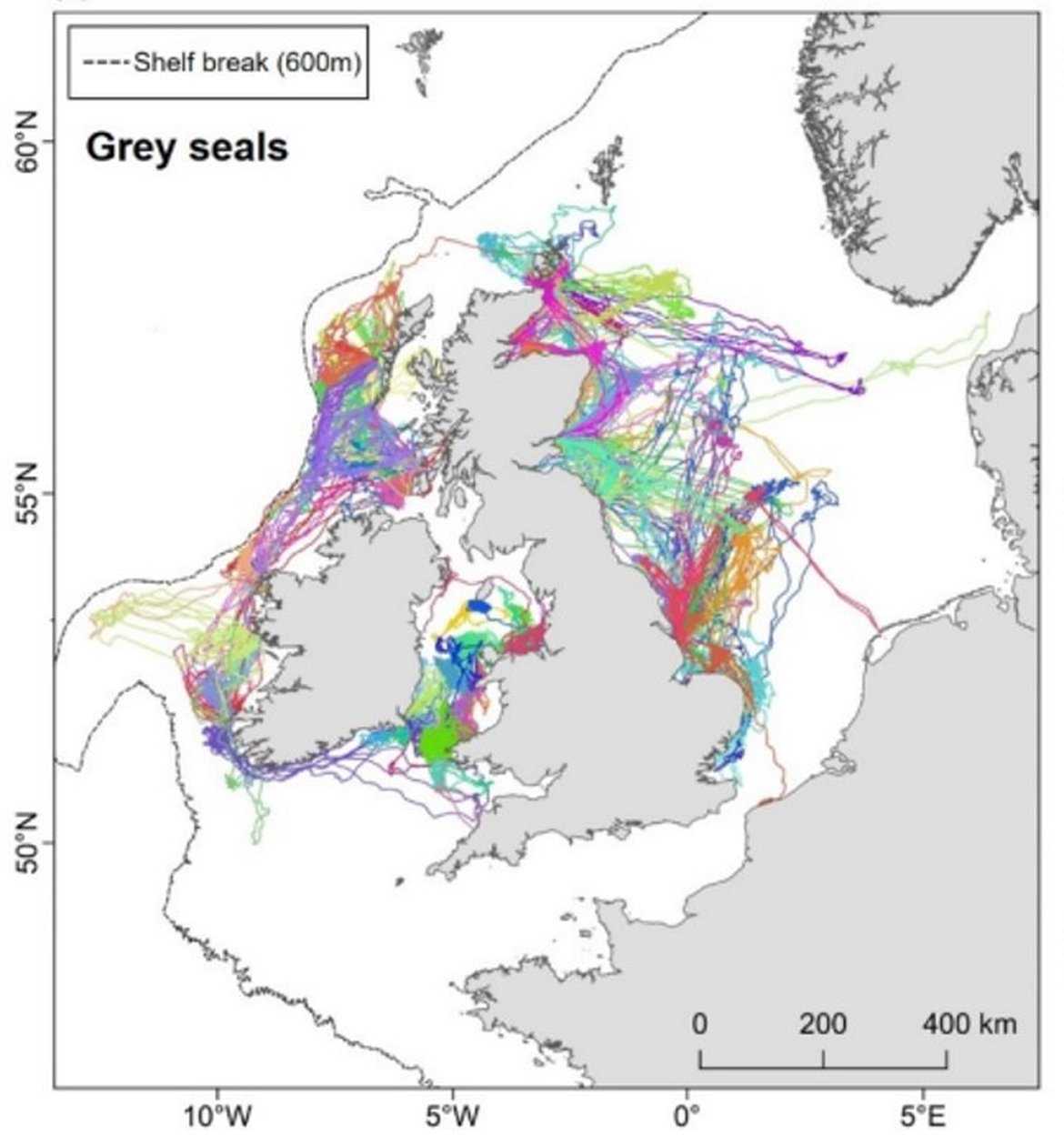 Figure h: GPS tracking data for grey seals. Data were combined from SMRU, University of Aberdeen and University College Cork. Tracks are shown before cleaning, coloured by individual (number of tracks = 114).