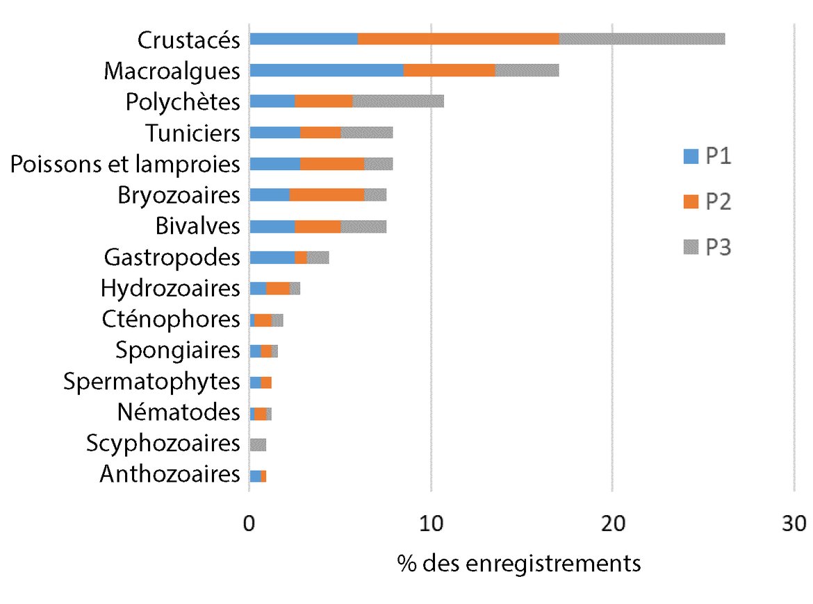 Figure c : Répartition entre les groupes taxonomiques de niveau supérieur des 250 ENI enregistrées par OSPAR entre 2003 et 2020. Les couleurs représentent les trois périodes