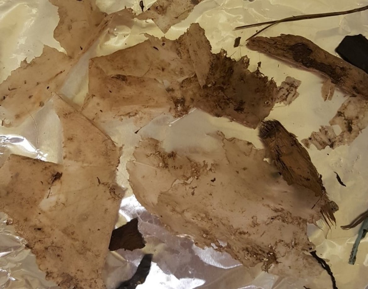 Sample of marine litter excreted by a sea turtle Caretta caretta in a rescue centre © Gambaiani, Cestmed