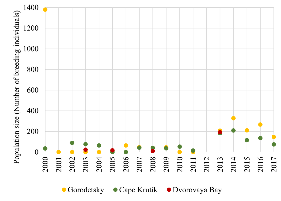 Figure 7: Population trends at the three BRGU colonies in Russia (Gorodetsky,, Cape Krutik and Dvorovaya Bay) along the Murman coast between 2000 – 2017. Numbers represent the total number of individuals in study plots. Population estimates are from Ezhov (2019).