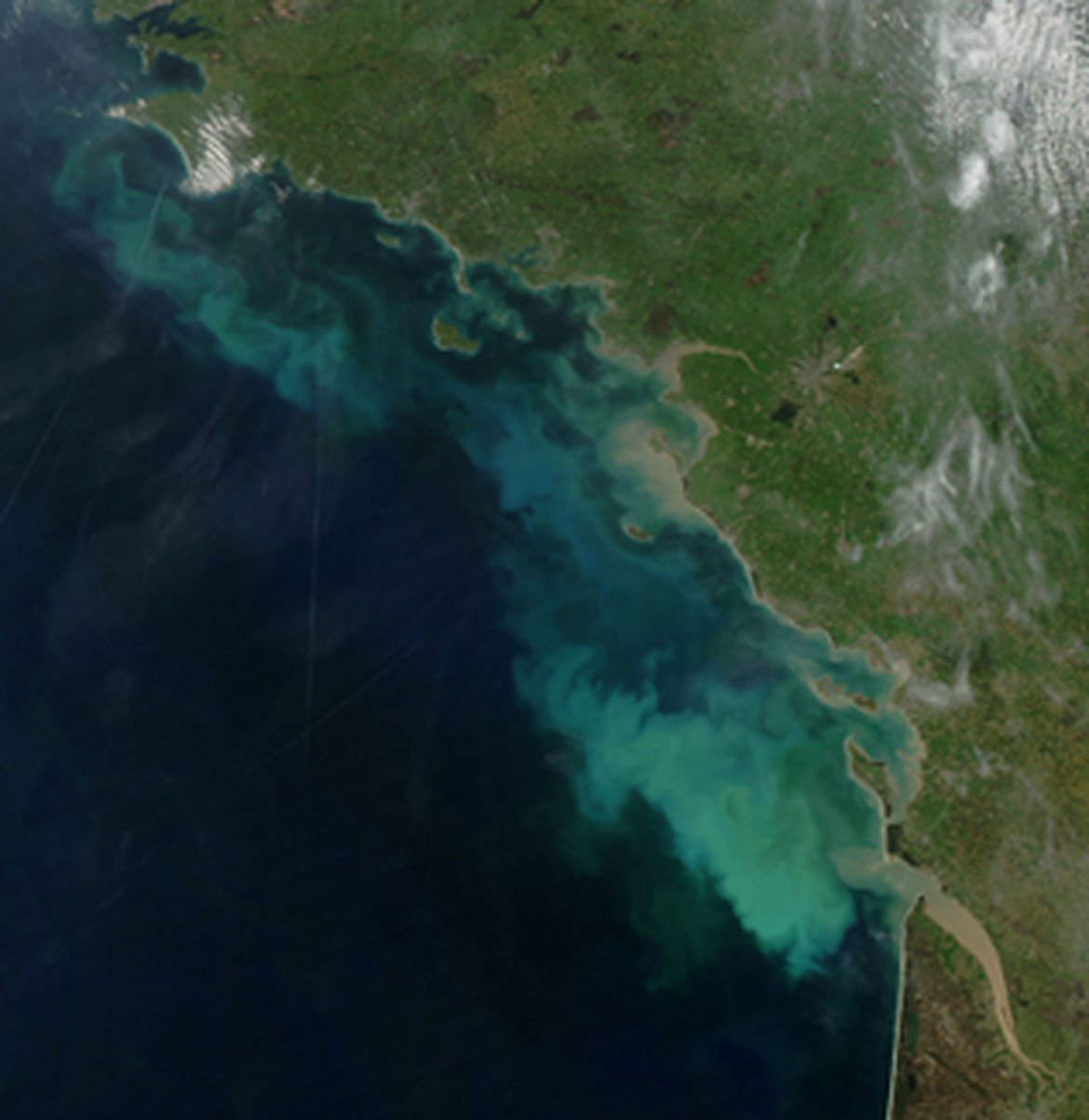 Figure 1: Sediment plumes from land interacting with upwelling to cause phytoplankton blooms along the French west coast. Picture from Godard Space Flight Center (NASA)