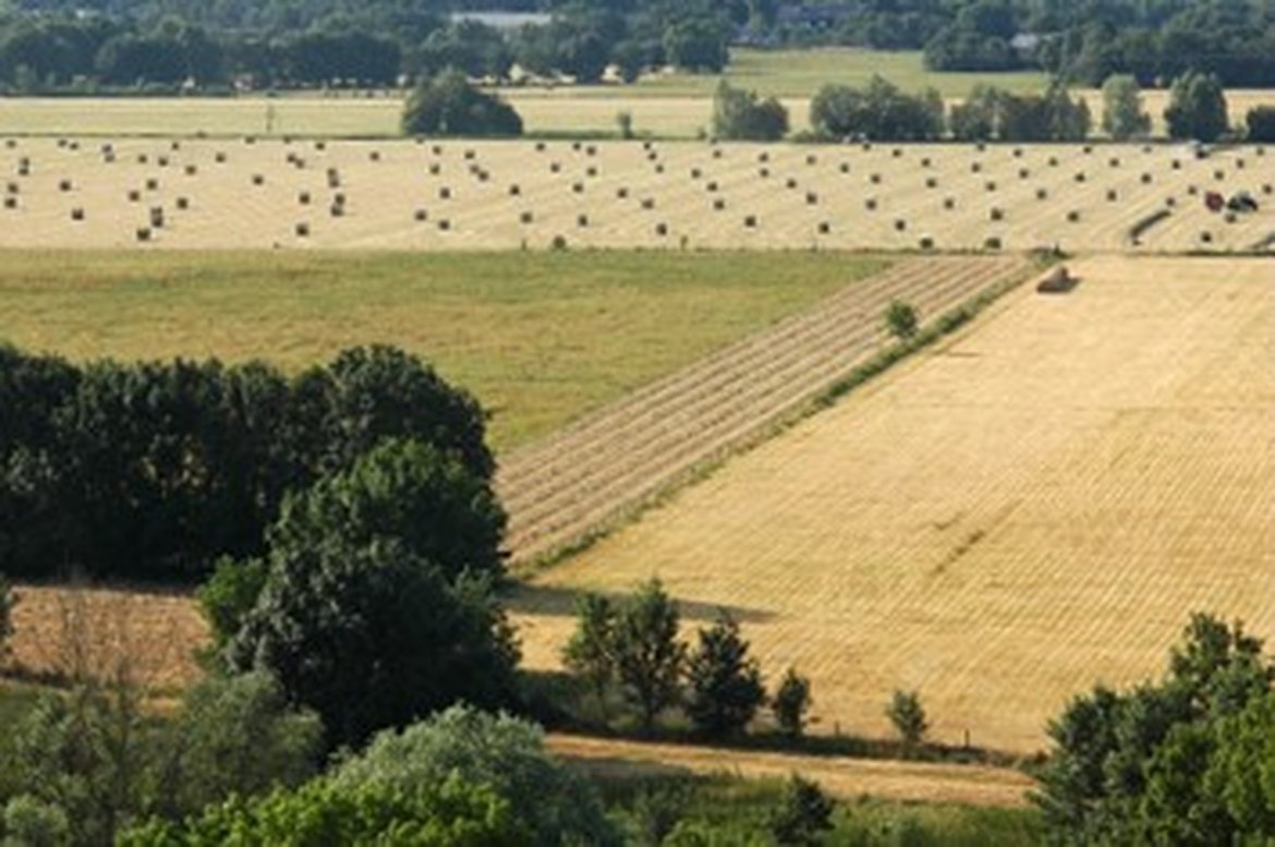 Figure 5.7.7: Agricultural land (Chaudefonds-sur-Layon). Olivier Brosseau / Terra