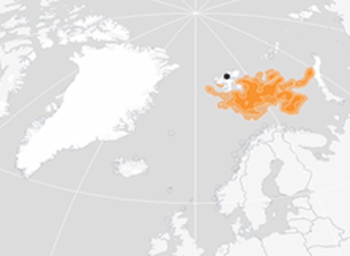 Figure 4: Winter (November – January) distribution of BRGUs from the Alkefjellet colony in East Spitsbergen (indicated as black dot) 2015-2019 (Seatrack, 2020a).