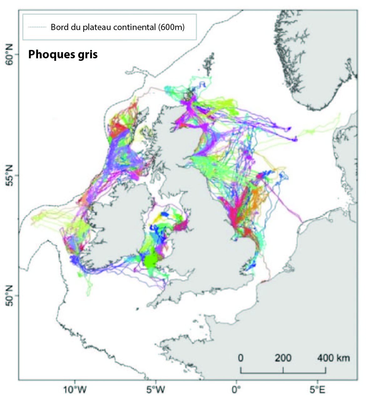 Figure h : Données de suivi GPS pour les phoques gris. On a combiné des données provenant de l'Unité de recherche sur les mammifères marins de l'Université de St Andrews (SMRU), de l’Université d’Aberdeen et de l’University College Cork. Les tracés sont représentés avant le nettoyage, colorés par individu (nombre de tracés = 114).