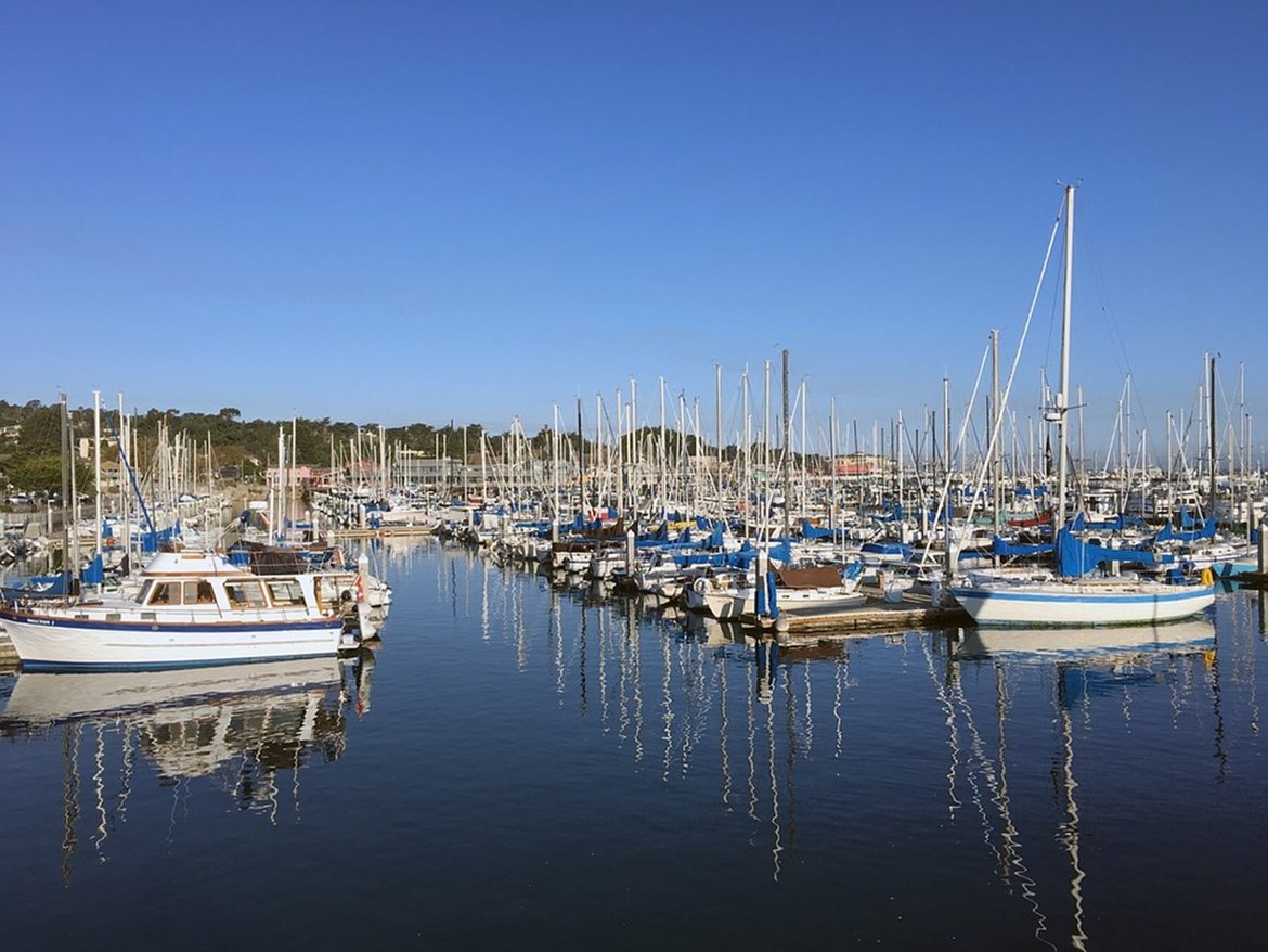 Figure b: High concentrations of TBT in sediment are normally associated with commercial ports, harbours, shipyards, shipping lanes and marinas.