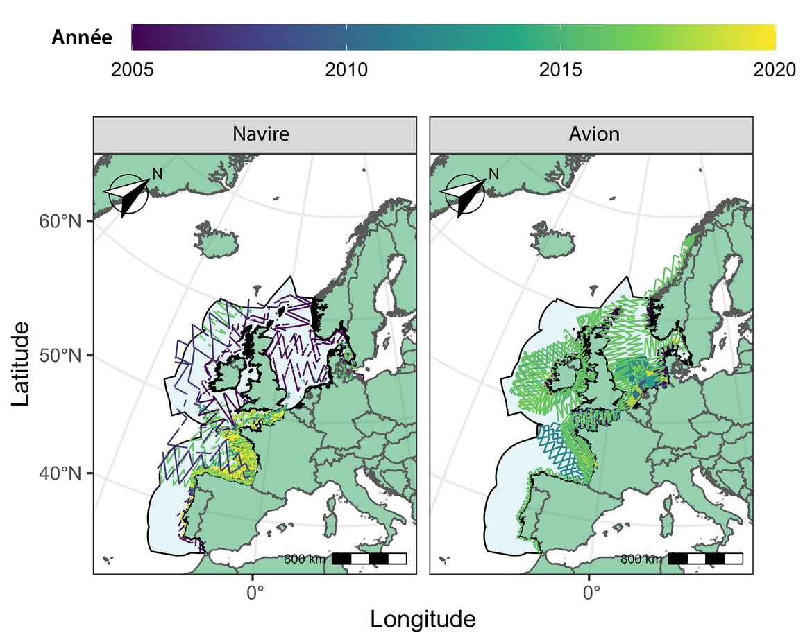 Figure i : Résultats de l'appel à données d'OSPAR concernant les données d’études sur les cétacés collectées entre 2005 et 2020 dans l’Atlantique du Nord-Est. Il convient de noter qu’en cas de chevauchement de plusieurs transects, seul le plus récent est représenté sur la figure.