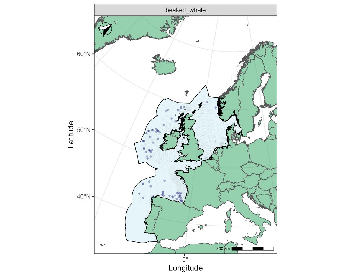 Figure z: Sightings of beaked whales in 2016.