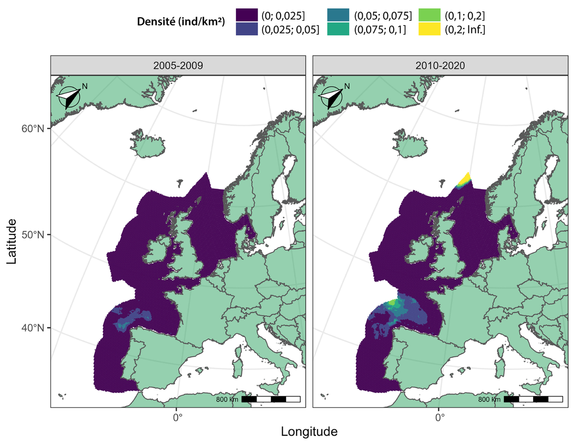 Figure w : (A) Carte moyenne de la distribution prédite pour le rorqual commun en juillet entre 2005 et 2020.