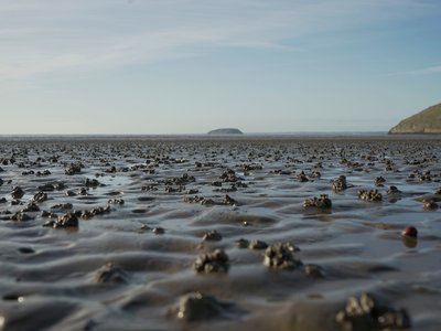 H8 - PFOS in biota, sediment and seawater