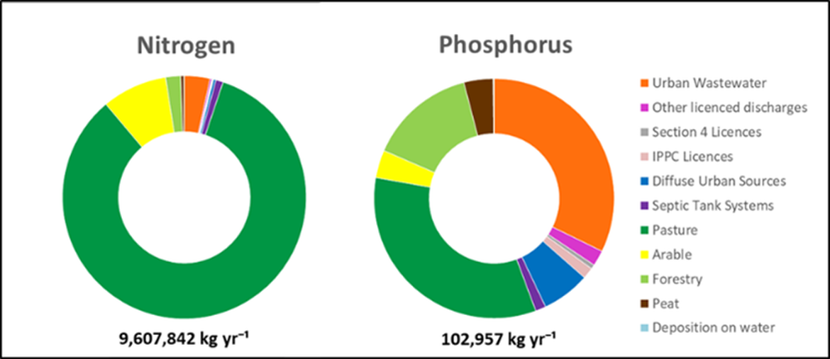 Figure 4.1.8: Estimated proportions of N & P from each sector in the Suir Catchment