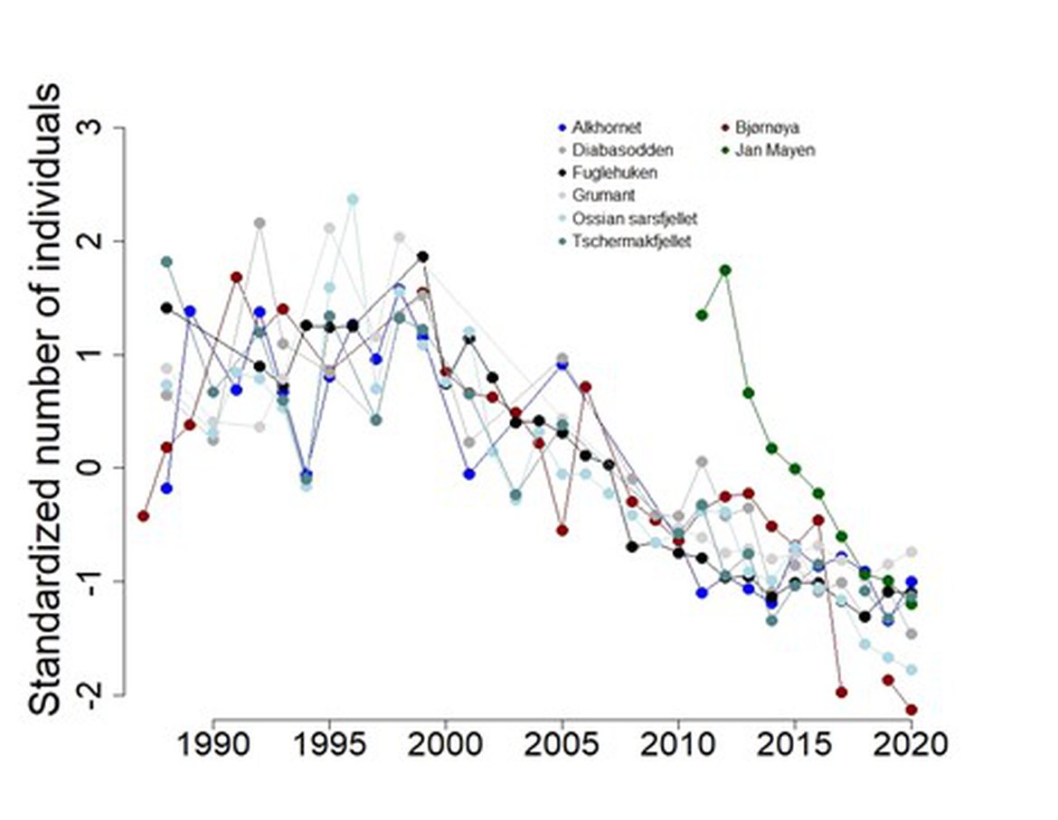 Figure 5: Population trends of BRGUs in monitored colonies in West Spitsbergen, Bjørnøya and Jan Mayen between 1987 – 2020. Data are standardized (deviation from mean divided by standard deviation). More details regarding BRGU breeding populations in Svalbard can be found on the Environmental Monitoring of Svalbard and Jan Mayen (MOSJ) (2020a). The numbers represent the total number of individuals in study plots during incubation/early chick-rearing.