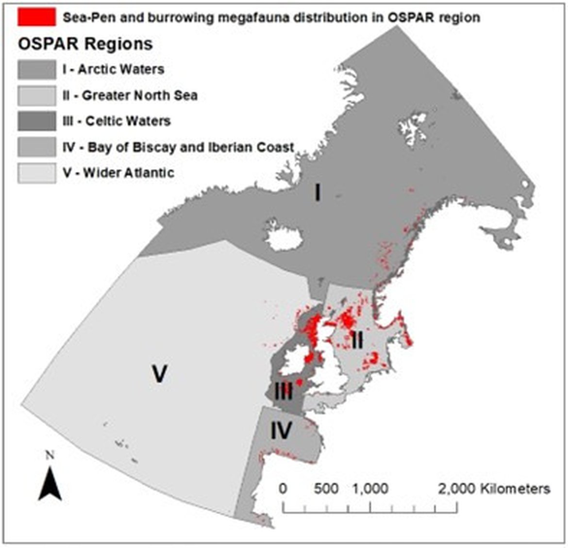 Figure 1: Distribution of 10km squares containing Sea-pens and burrowing megafauna communities habitat from OSPAR Threatened and/or Declining habitats database (2020).
The habitat is known to occur in the Porcupine bank and in waters near the Aran islands, Ireland but are not included in this diagram. The presented distribution in the German part of the North Sea is nationally under technical review.