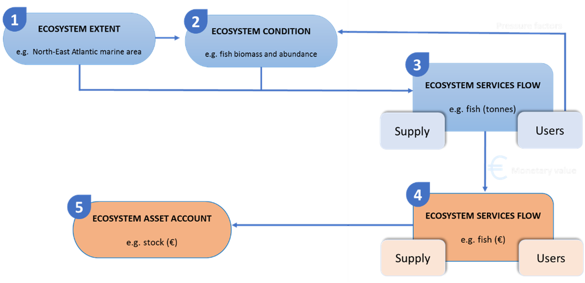Figure I.2: UN Ecosystem Accounting framework applied to the OSPAR area (Alarcon Blazquez, 2021)