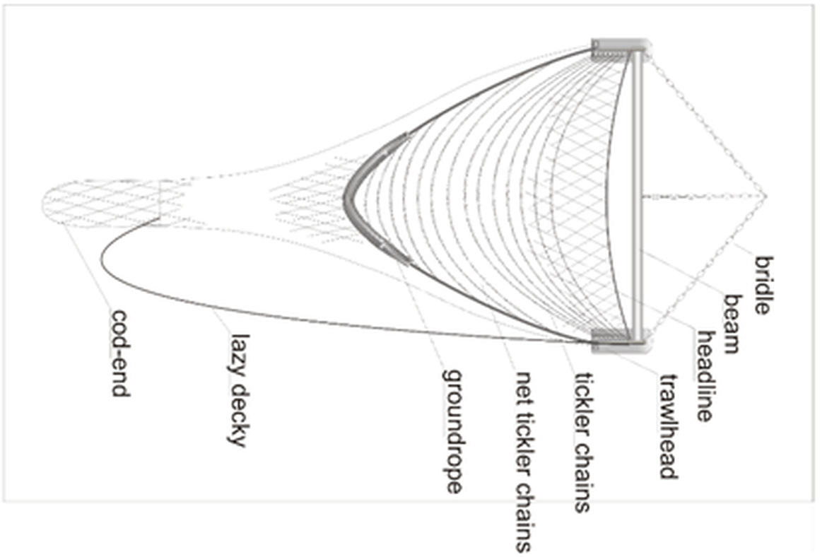 Figure b: Benthic trawl diagrams - Beamtrawl V-net with tickler chain, from ILVO (Belgium)