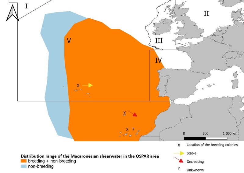 Figure 1: Macaronesian distribution range at the OSPAR area, combining several information sources.