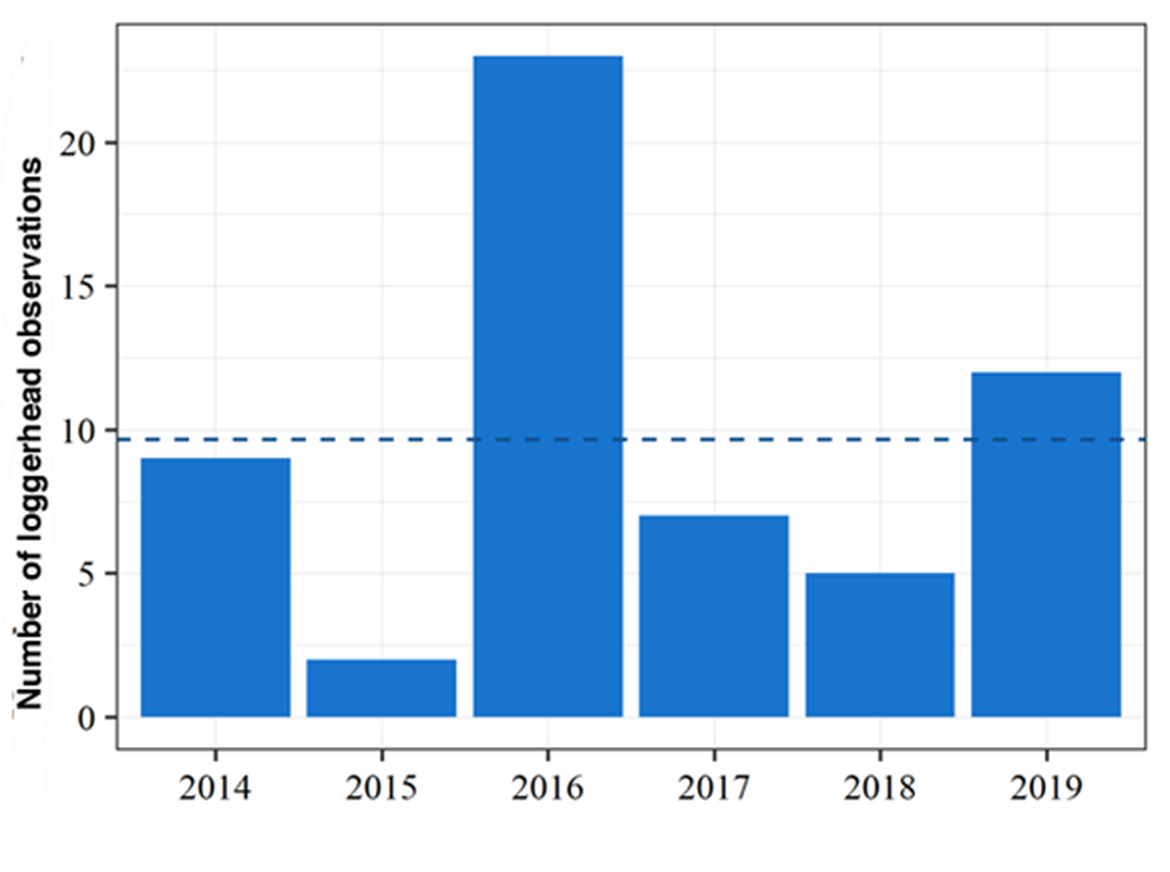 Figure 5: Loggerhead turtle records by year in the CESTM database for the period 2014-2019 (n=58). The blue dotted line represents the average number of records.