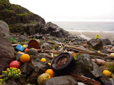 Marine litter is a problem 
