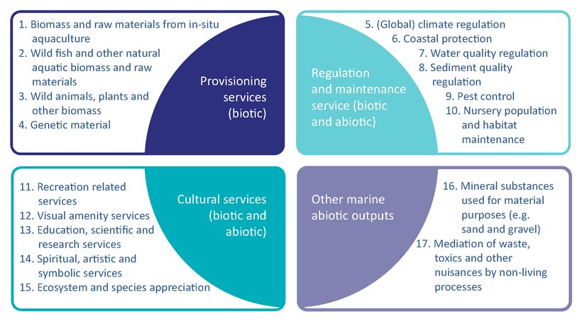 Figure I.1: Overview of ecosystem services described