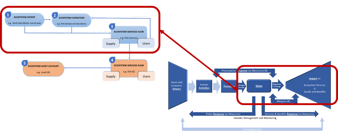 Figure I.3: The synergy between the SEEA EA physical accounts and the OSPAR DAPSIR framework for QSR 2023 thematic assessments.