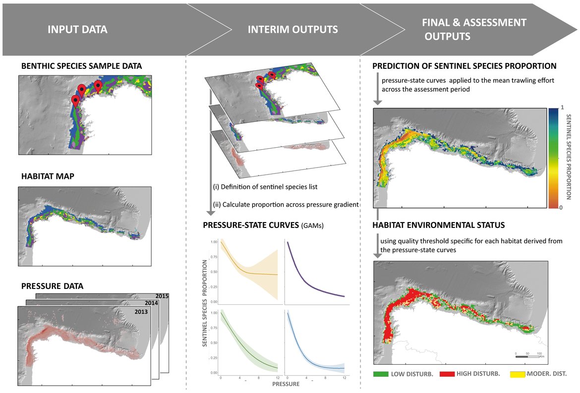 Figure b: Interlinkage between data inputs, processes, and outputs for the BH1 indicator.