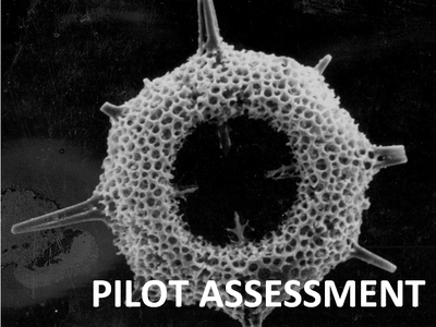 Evaluation pilote de la production de phytoplancton 