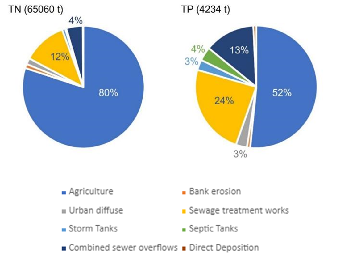 Figure 3.1.9: Source apportionment of nitrogen and phosphorus loads exported by the Humber catchment (Zhang et al., 2014)