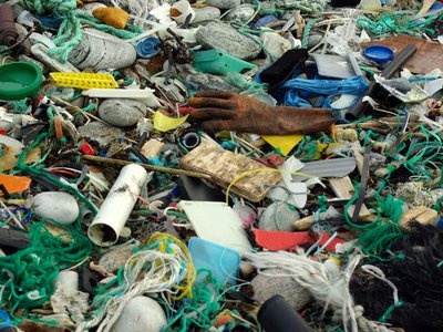 Beach Litter Monitoring