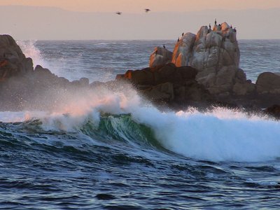 Feeder Report 2026 - Marine Geoengineering