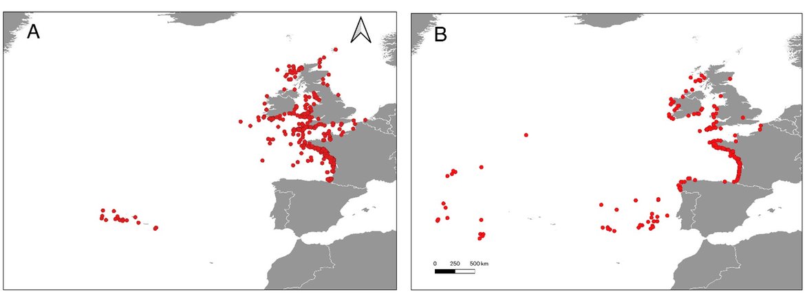 Figure 2: Distribution of (A) at-sea observations and (B) stranded/by-caught leatherback turtle sightings recorded by Contracting Parties between 2009 and 2019.