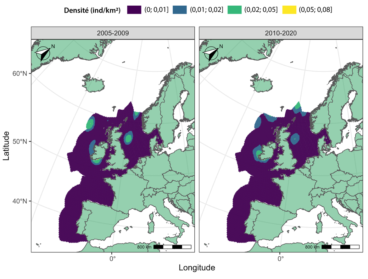 Figure v : (A) Carte moyenne de la distribution prédite pour le petit rorqual en juillet entre 2005 et 2020.