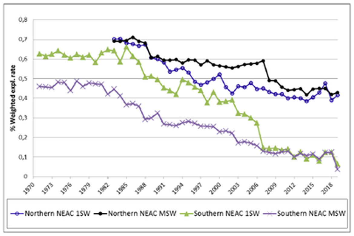 Figure 6 : Mean annual exploitation rate of wild One-Sea-Winter (1SW) and Multiple-Sea-Winter (MSW) Atlantic salmon by commercial and recreational fisheries in Northern and Southern NEAC (North Eastern Atlantic Commission) countries.; adapted from (ICES, 2021).