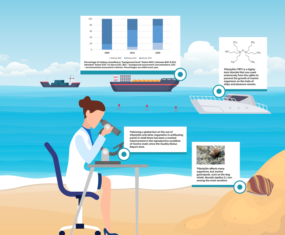 Figure 2.2: Case study of TBT in marine gastropods