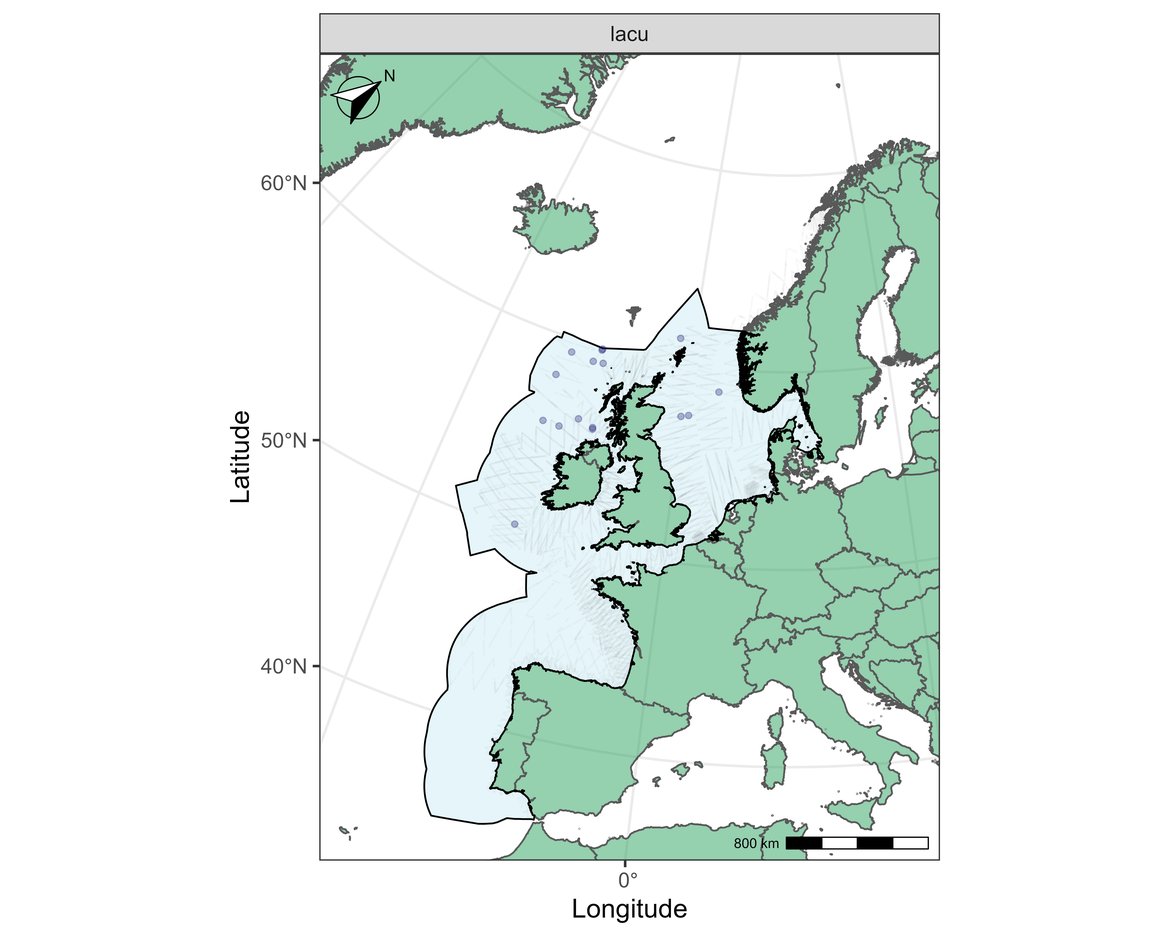 Figure m: Sightings of white-sided dolphin in 2016.
