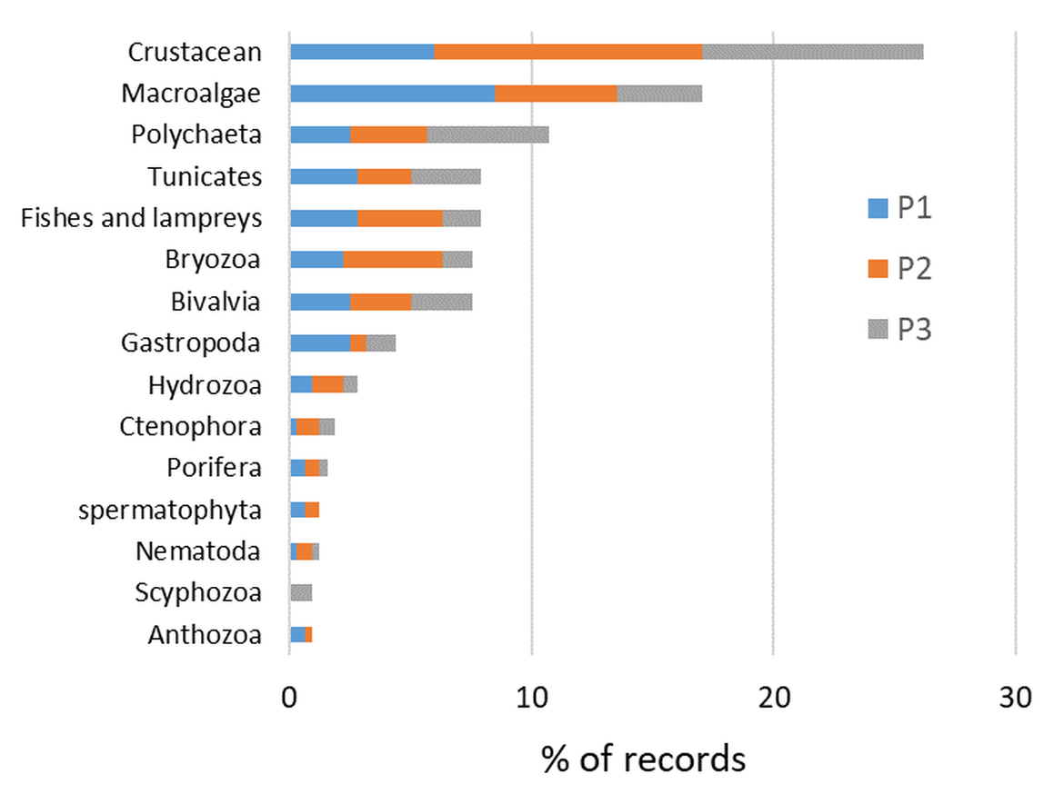 Figure c: Distribution among higher-level taxonomic groups for the 250 OSPAR NIS recorded during 2003-2020. Colours represent the three periods.