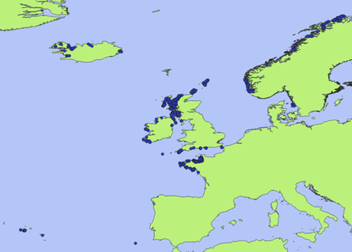 Figure 1: The current distribution of maerl bed records in the OSPAR maritime area (based on the OSPAR T&D 2025 database). Figure 1: The current distribution of maerl bed records in the OSPAR maritime area (based on the OSPAR T&D 2025 database).