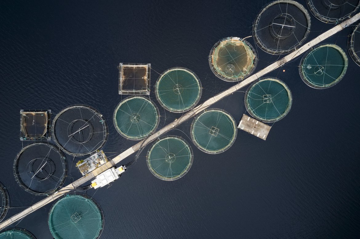Management measures are well established for aquaculture, although gaps in knowledge remain. © Shutterstock