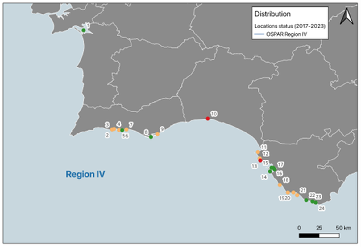 Figure 1: Documented distribution of Cymodocea meadows within Region IV in the period 2017-2022