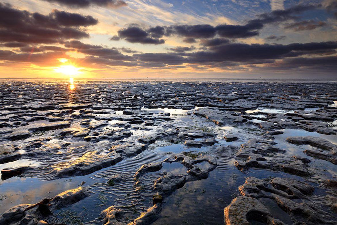 Mud flats in the Wadden Sea one of the diverse ecosystems in the North East Atlantic