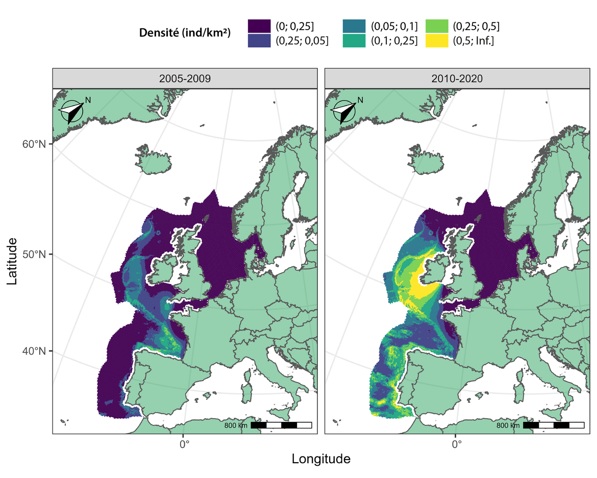 Figure o : (A) Carte moyenne de la distribution prédite pour les grands dauphins du large en juillet entre 2005 et 2020.